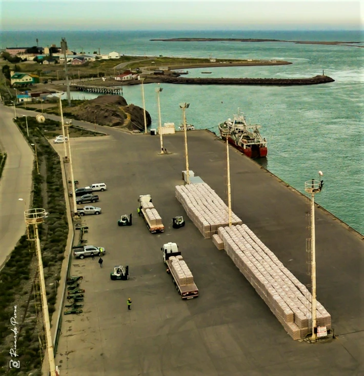 Aumentaron las descargas en puertos santacruceños, con el langostino como el producto de mayor demanda