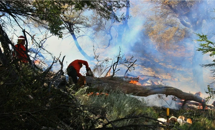 Quedó extinguido el incendio forestal en el Valle del Río Oro