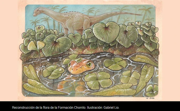 Descubren en Santa Cruz restos vegetales de un ecosistema acuático de fines del Cretácico Tardío