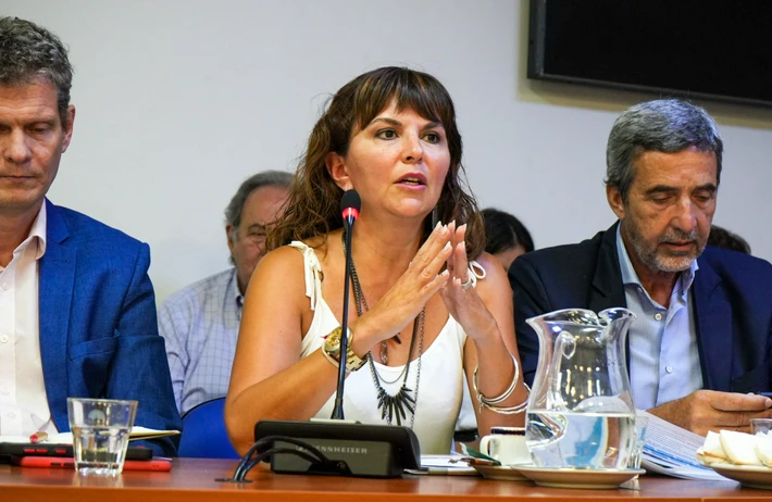 El momento incómodo de la ministra Silvina Córdoba cuando le preguntaron por la producción de YCRT: "es información que no manejamos en detalle"