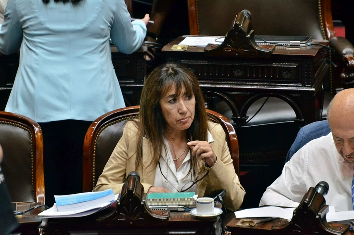 Roxana Reyes pidió en el Congreso que Alicia Kirchner respete la Convención de los Derechos del Niño en Educación: "desde 2017 no se completa un ciclo lectivo en Santa Cruz"